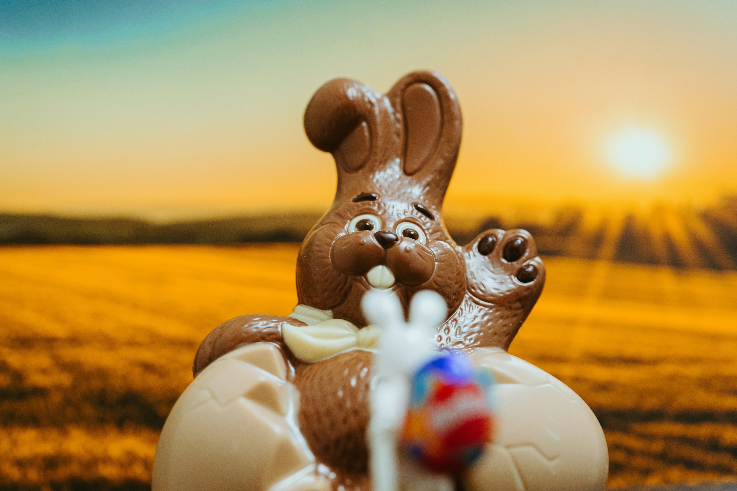 Commande de chocolats de Pâques. - image