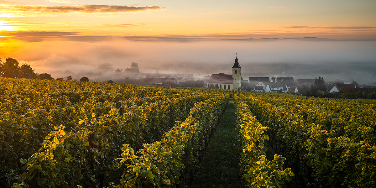 Domaines & Villages   Votre Commande Groupée démarre le 16/09/2025 jusqu'au 13/10/2025 inclus ! - image