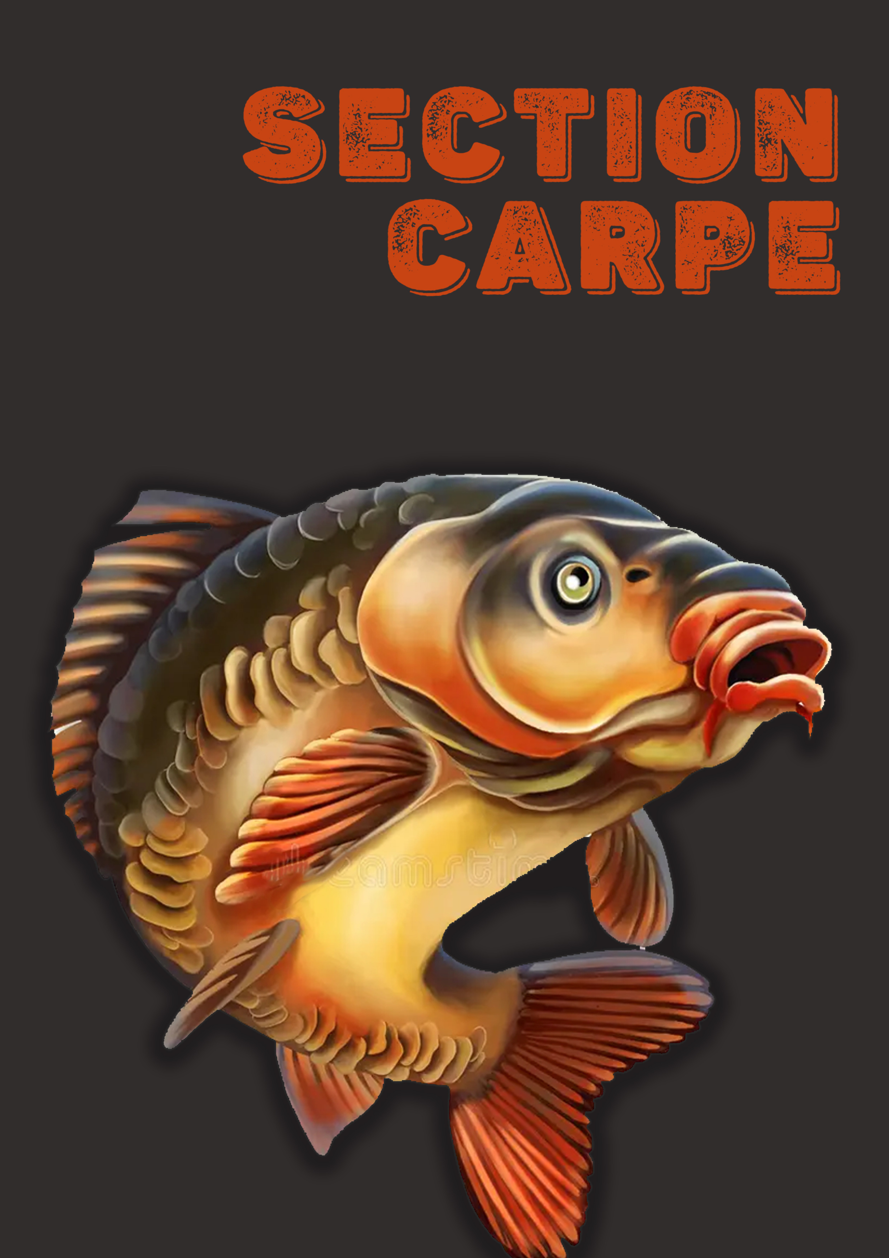Concours Carpes du samedi 27 juin 2026 - image